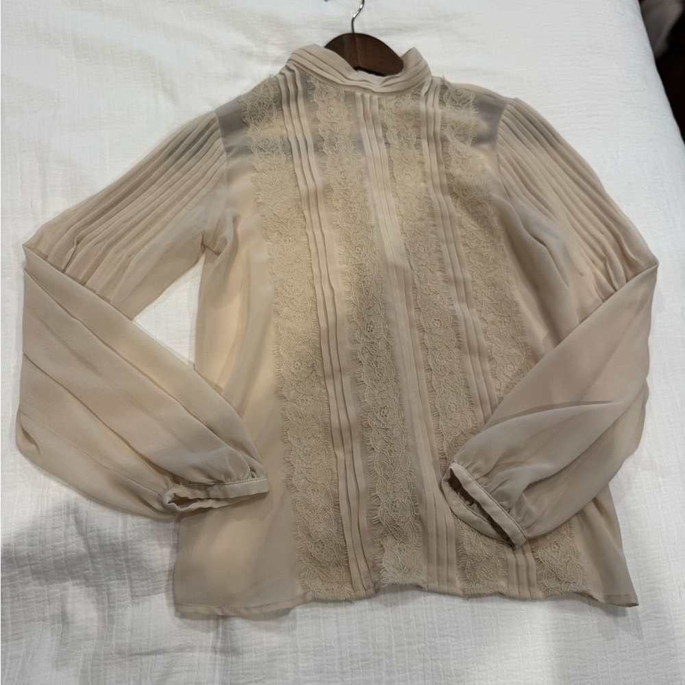 Banana Republic sheer nude blouse